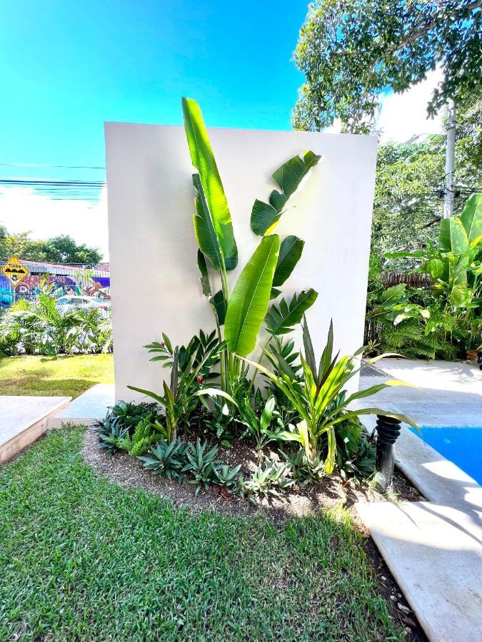 Tendenza Playa del Carmen